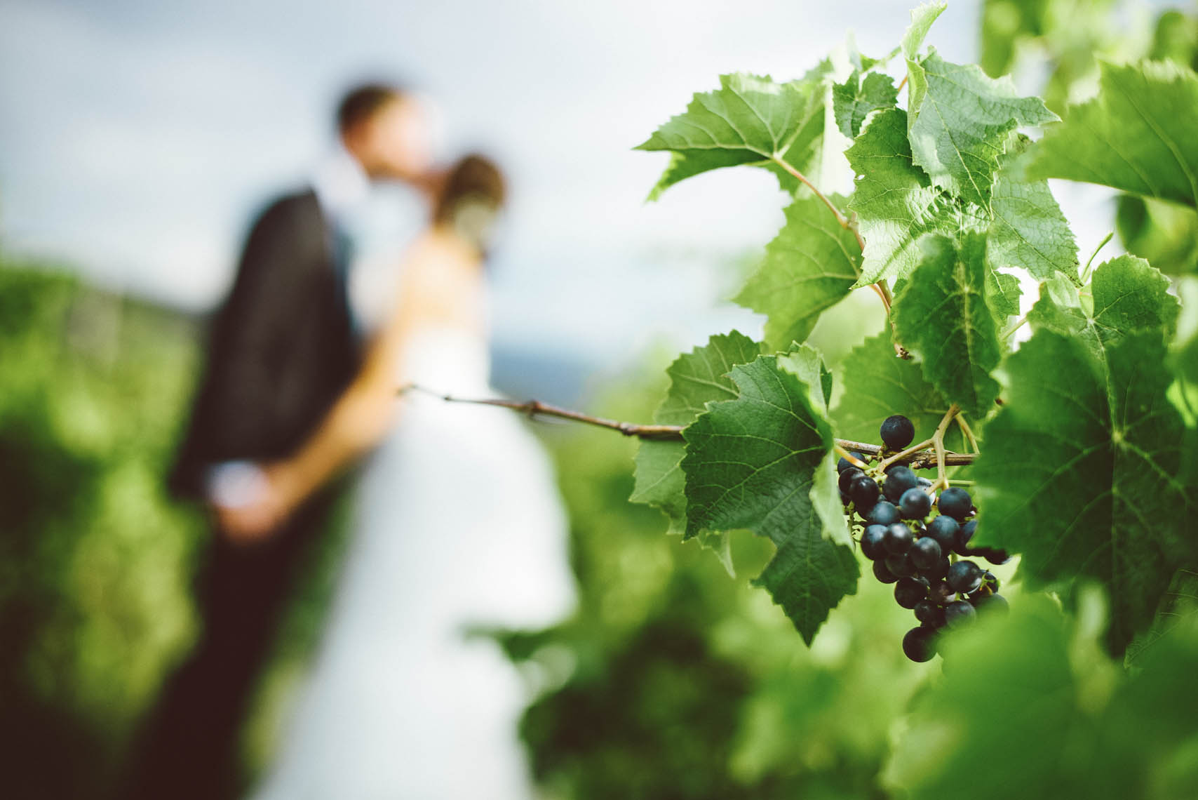 001_winery-wedding
